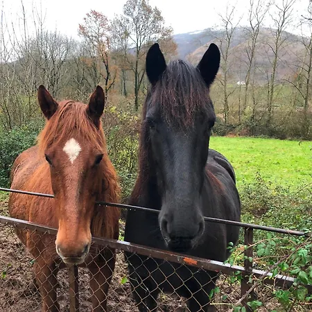 Iturrizar Alojamiento Rural Errazu Exterior foto